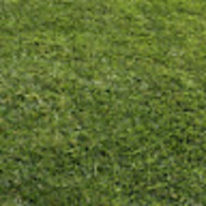 Meet your Posher, Ruby